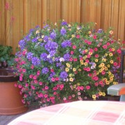 home 2